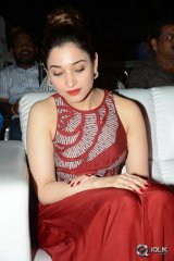 Tamannaah at Bengal Tiger Movie Triple Platinum Disc Function